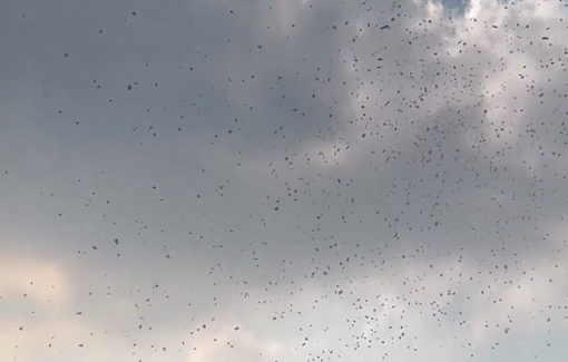 Thumbnail preview image for the video titled: Israeli airplanes dropped evacuation leaflets in the middle of Gaza City